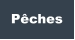 Pêches
