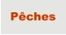 Pêches
