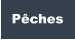 Pêches